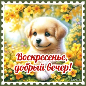 Красивая весенняя картинка воскресенье добрый вечер со щенком.