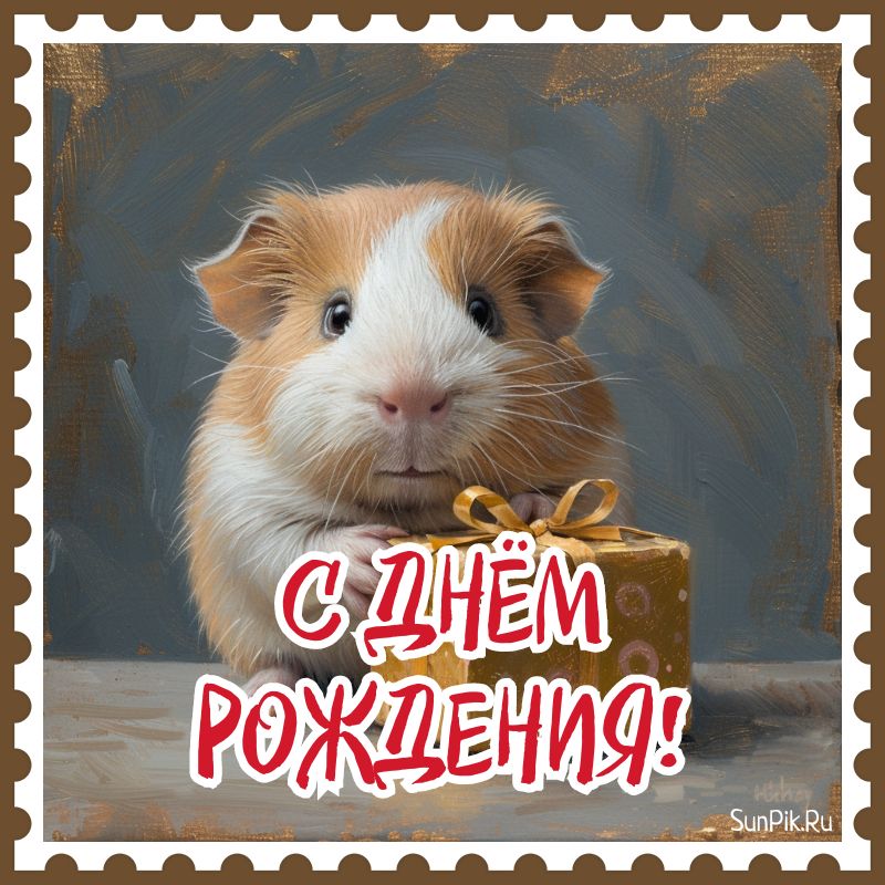 Смешная открытка с хомяком Смешная открытка с хомяком на день рождения парню
