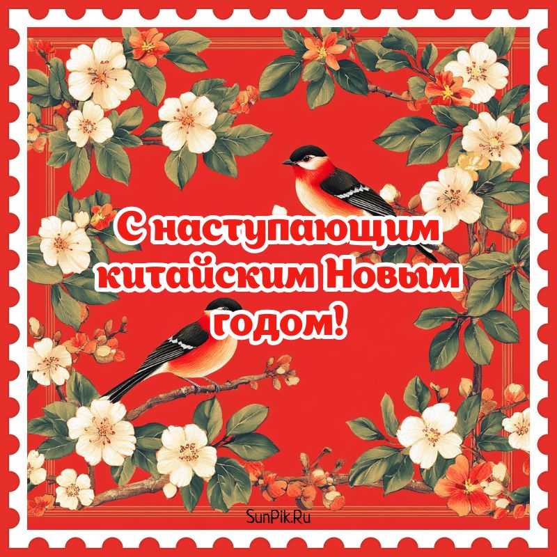 Открытка с наступающим китайским новым годом.