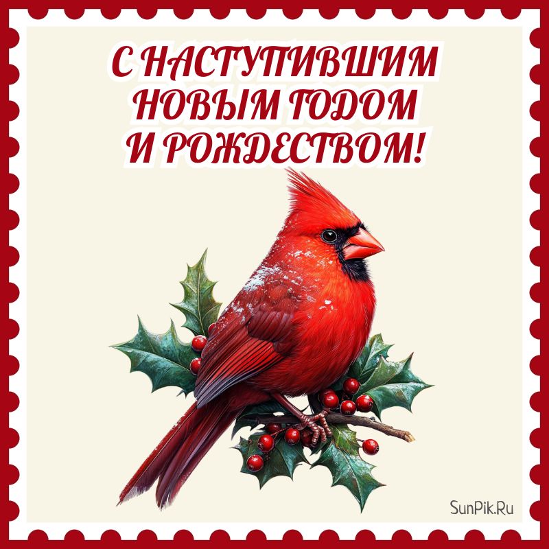 Открытка с наступившим Новым годом и Рождеством с птицей.