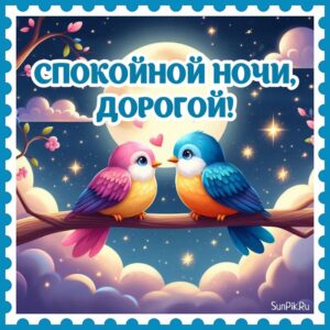 Картинка любимому мужчине спокойной ночи, дорогой с птицами.