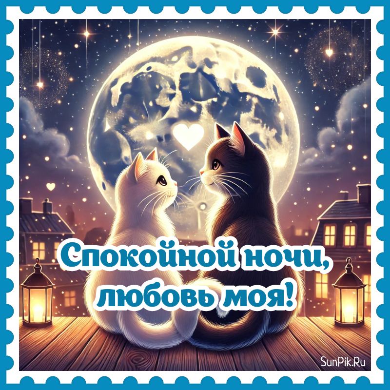 Картинка мужчине спокойной ночи, любовь моя с кошками.