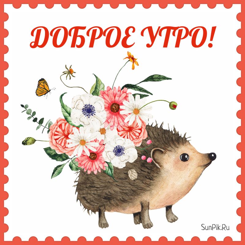 Современная картинка с надписью «Доброе утро» и животным.