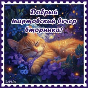 Картинка добрый весенний мартовский вечер вторника с котиком.