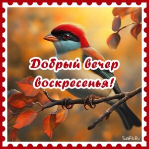 Осенняя картинка добрый вечер воскресенья с птицей.