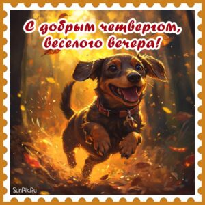 Осенняя картинка с добрым четвергом, веселого вечера с собакой.