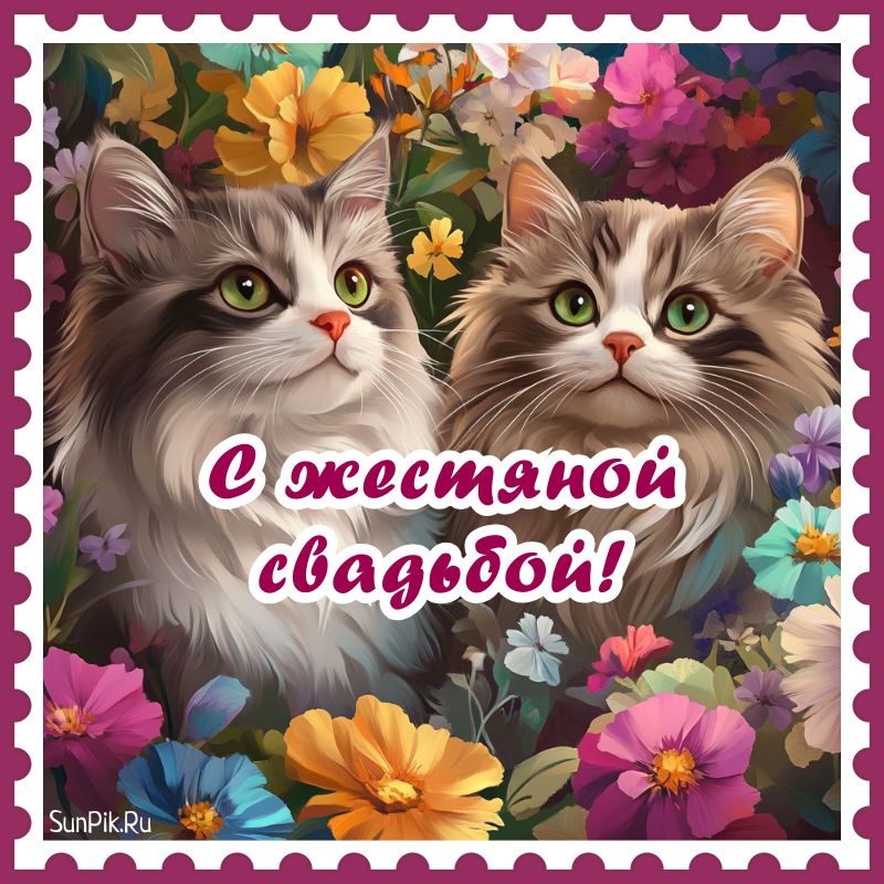 Поздравительная открытка с жестяной свадьбой с кошками.