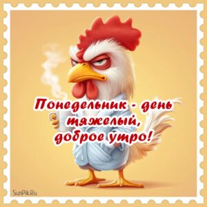 Прикольная картинка с петухом понедельник - день тяжелый, доброе утро!