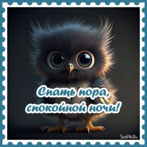 Прикольная картинка спать пора, спокойной ночи с совой.