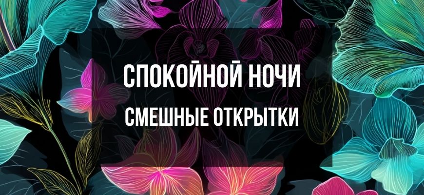 Изображение для страницы "Смешные открытки спокойной ночи"