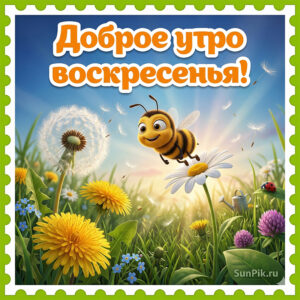 Картинка доброе утро воскресенья с одуванчиками.