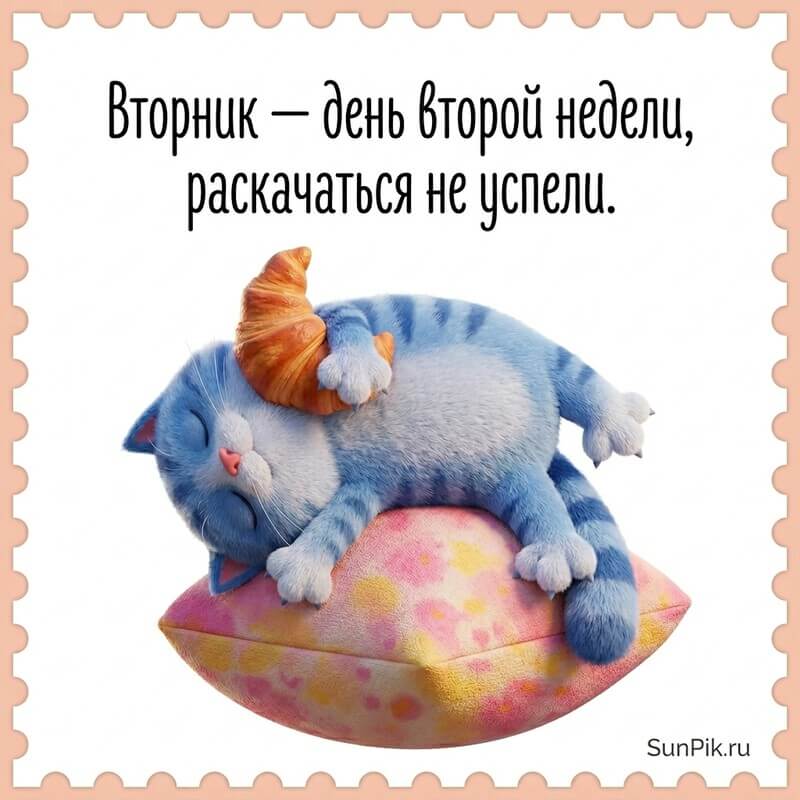 Прикольная картинка про вторник с котом на подушке