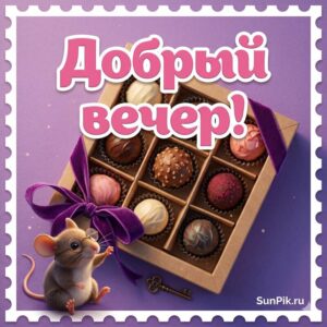 Красивая картинка добрый вечер женщине с мышкой и коробкой конфет