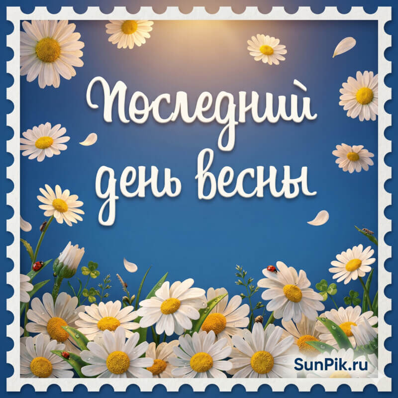 Голубая открытка последний день весны с ромашками