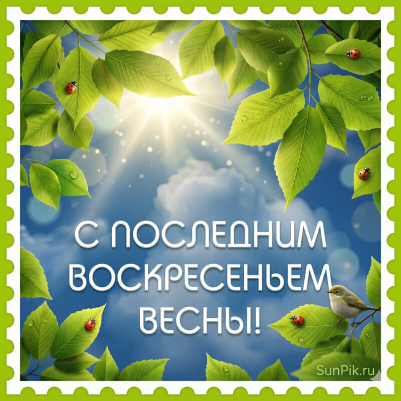 Открытка с последним воскресеньем весны с зелёными листьями и птицей