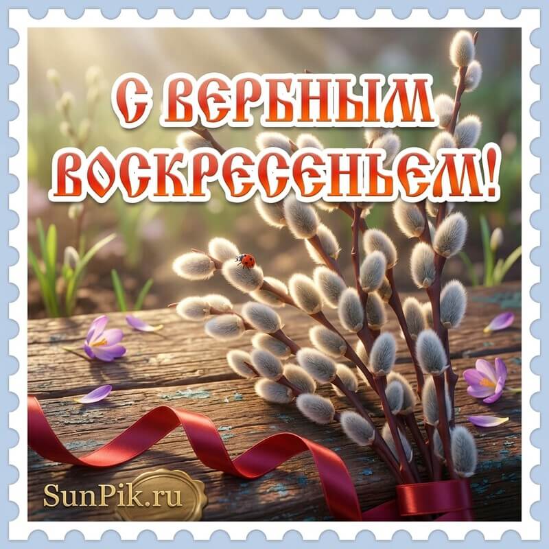 Открытка с вербным воскресеньем с ветками вербы